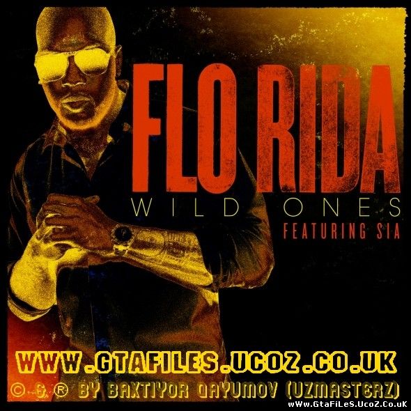 Flo Rida feat. Sia - Wild Ones (2012)